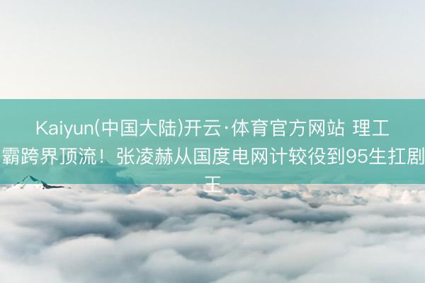 Kaiyun(中国大陆)开云·体育官方网站 理工学霸跨界顶流！张凌赫从国度电网计较役到95生扛剧王