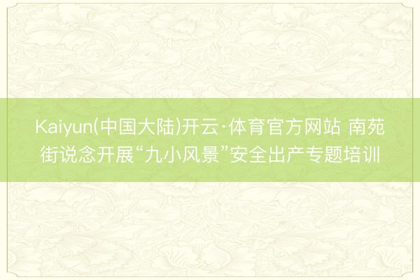 Kaiyun(中国大陆)开云·体育官方网站 南苑街说念开展“九小风景”安全出产专题培训